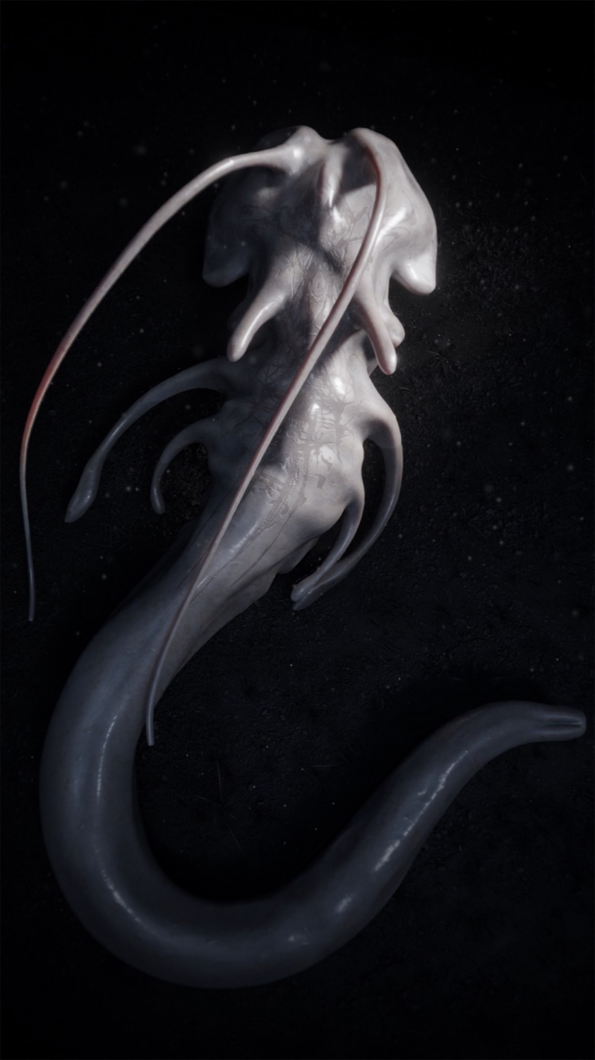 Project 02 BTS - 11
