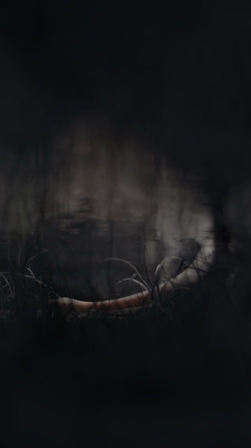 1:21 min, 300+ hours, 6 month Visual Concept - f_1788085615093_aaqy.png